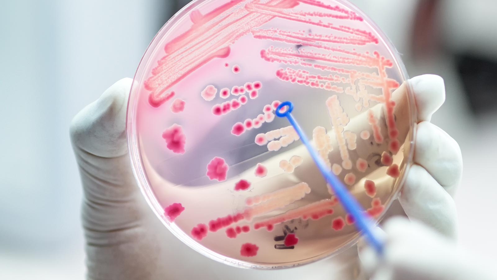 Campaña resistencia bacteriana